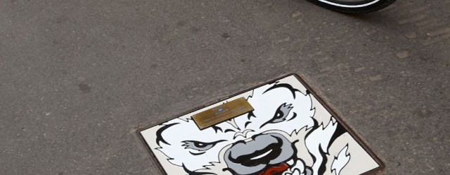 ich mochte ein Eisbar sein28_1