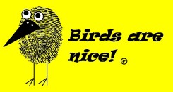 Birds are NIce_profile image