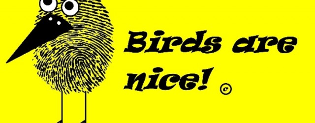 Birds are NIce_profile image