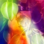 DB PROFIL 02 980 x 525