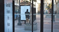 foto-Falansh-1-79-900x600