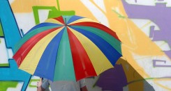 259428_164107743655202_158952680837375_355666_3114159_o