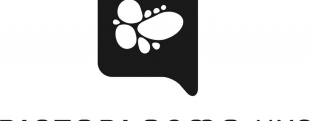 01_PictoplasmaNYC_info